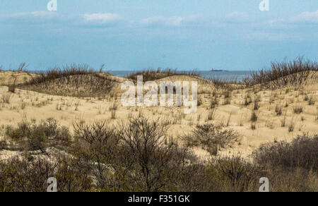 Dunes de Cape Henlopen Banque D'Images