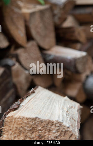 Petit journal avec une grosse pile de grumes dans l'arrière-plan Banque D'Images