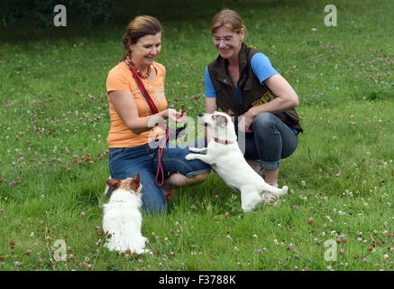 Exclusif : Sabine Hoernicke expert Truffe pose avec accompagnateur Viktoria von Uexkull séminaire et son Jack Russell 'Fluse' à une forêt à Bonn (Allemagne), de l'Allemagne. Sabine Hoernicke la truffe donne chien formation séminaire 'Recherche de truffes avec les chiens". Le but du séminaire est pour le propriétaire du chien d'être en mesure de localiser les zones où les truffes poussent dans n'importe quel environnement. Le chien apprend à détecter l'odeur des truffes pour identifier l'emplacement exact d'une truffe mûre. Photo : Horst Ossinger/dpa Banque D'Images