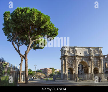 Pine Tree et arc de Constantin, Rome, Latium, Italie Banque D'Images