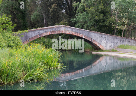 Marina di Pietrasanta vieille Prince's bridge sur la rivière Fiumetto dans Parc de la Versiliana. Belle floraison de l'iris jaune sur la gauche Banque D'Images