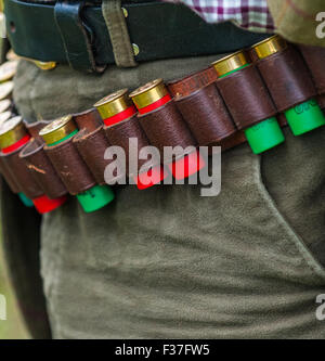 Un homme portant une ceinture de cartouches de fusil de chasse avec des cartouches dans les jours sur un tournage avec alésage 12 shot cartouches montrant Banque D'Images