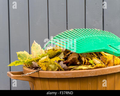 Pile de feuilles mortes de l'automne ont balayé et de dumping au bac en plastique avec ventilateur rake reposant sur elle Banque D'Images