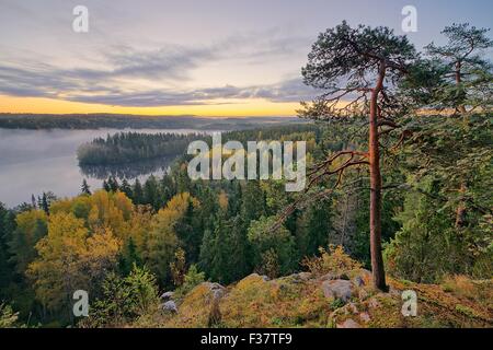 Matin brumeux dans l'Aulanko la réserve naturelle du parc en Finlande. Le soleil va se lever tôt le matin. Image HDR. Banque D'Images