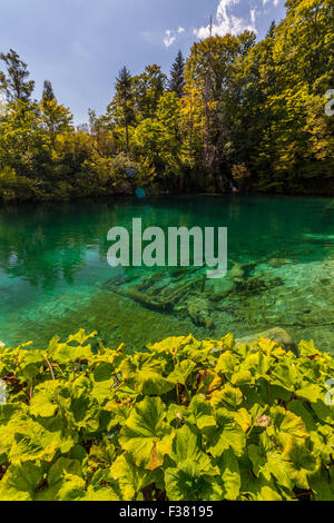La nature vierge du parc national des lacs de Plitvice, Croatie Banque D'Images