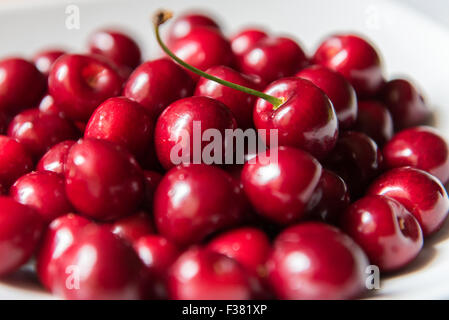 Bol d cerries frais rouge sur fond blanc Banque D'Images