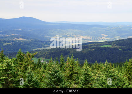 Lookout dans le parc national de Sumava, République Tchèque Banque D'Images