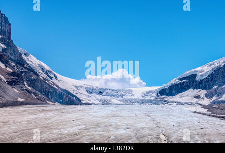 Glacier Athabasca dans le Parc National de Jasper, Canada Banque D'Images