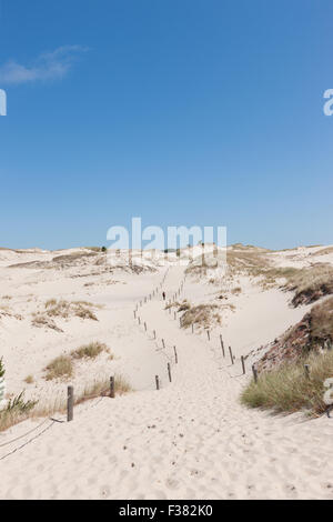 Déplacement des dunes dans le Parc National Slowinski, Pologne Banque D'Images