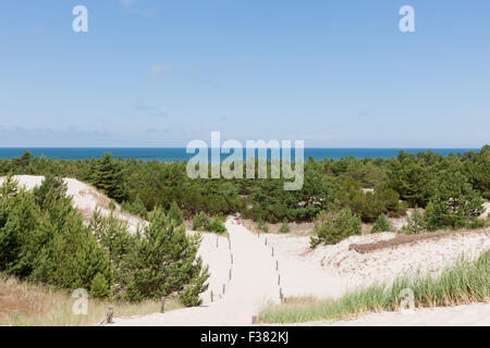 Déplacement des dunes dans le Parc National Slowinski, Pologne Banque D'Images