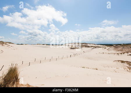 Déplacement des dunes dans le Parc National Slowinski, Pologne Banque D'Images