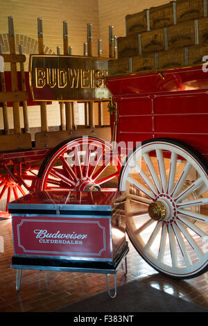 Visite de la brasserie Budweiser Merrimack New Hampshire NH Banque D'Images