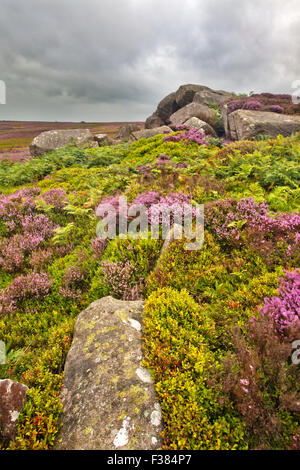 Des pierres sur la haute falaise près de North Yorkshire Angleterre Campsites Canet-en-Roussillon Banque D'Images