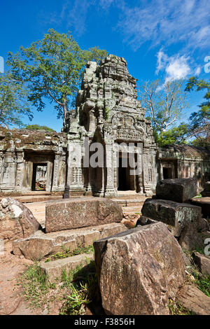 Ta Prohm temple. Parc archéologique d'Angkor, la Province de Siem Reap, au Cambodge. Banque D'Images