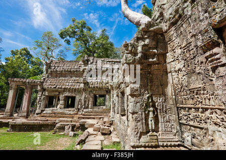 Bas-reliefs sur Ta Prohm temple. Parc archéologique d'Angkor, la Province de Siem Reap, au Cambodge. Banque D'Images