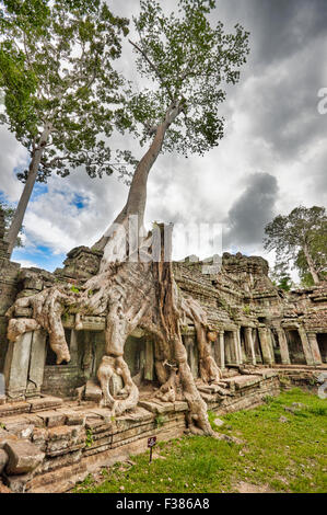 Preah Khan temple. Parc archéologique d'Angkor, la Province de Siem Reap, au Cambodge. Banque D'Images