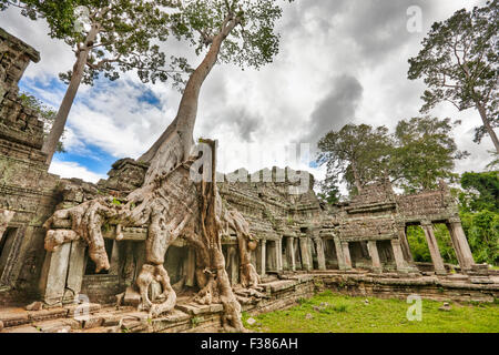 Preah Khan temple. Parc archéologique d'Angkor, la Province de Siem Reap, au Cambodge. Banque D'Images