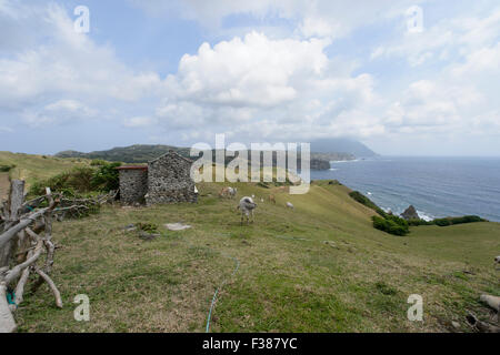 Vue paysage à Tayid dans le phare de l'île de Batanes, Philippines pendant la mousson. Banque D'Images