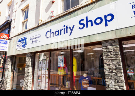 La RSPCA magasin de charité store façade extérieur signe high street Shopping Kendal Cumbria UK Angleterre Banque D'Images