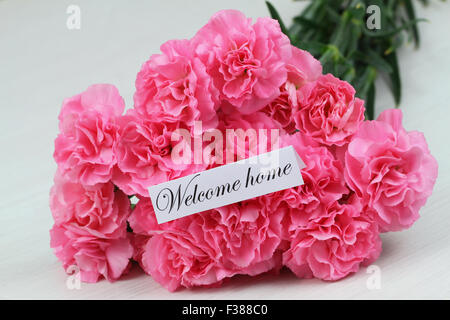 Bienvenue accueil carte avec oeillet rose bouquet de fleurs Banque D'Images