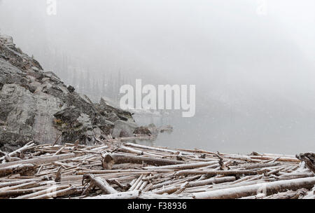 Début septembre de la neige au lac Moraine dans la vallée des Dix-Pics, Banff National Park, Alberta, Canada, Amérique du Nord. Banque D'Images