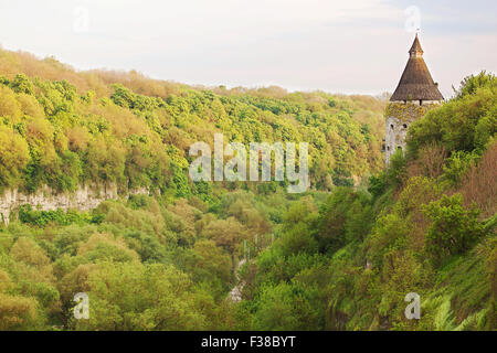 Green canyon avec une tour à Kamenetz-Podolsk, Ukraine Banque D'Images