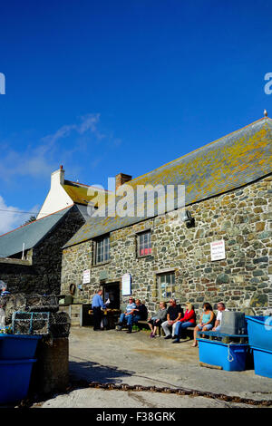 Cadgwith Harbour Village & Beach, péninsule du Lézard, Cornwall, England, UK en été Banque D'Images