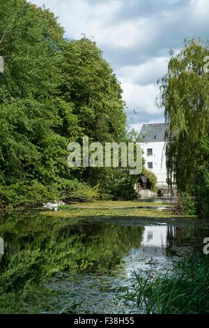 Moulin à eau Fakenham sur la rivière Wensum, Norfolk, Angleterre, juin. Banque D'Images