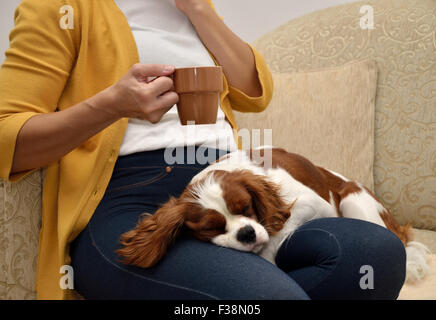 Femme assise sur un canapé à boire du café et un beau chien (Cavalier King Charles Spaniel, Blenheim) dormir sur ses genoux Banque D'Images