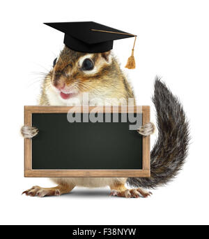 Funny chipmunk graduate hold tableau noir, blanc sur blanc Banque D'Images