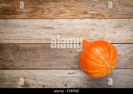 Les courges d'hiver hubbard orange vif sur une grange avec du bois vieilli grunge un copy space Banque D'Images