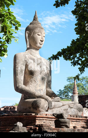 Grande statue de Bouddha en pierre au Wat Mahathat, Ayutthaya, Thaïlande Banque D'Images