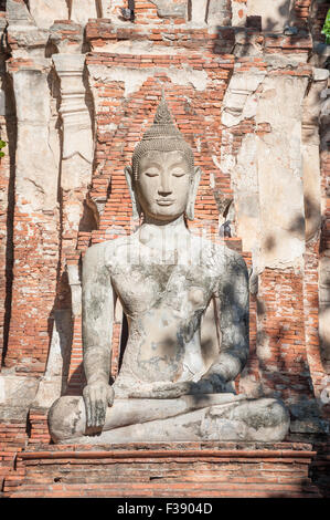 Grande statue de Bouddha en pierre au Wat Mahathat, Ayutthaya, Thaïlande Banque D'Images