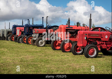 Rangée de Vintage les tracteurs de ferme Banque D'Images