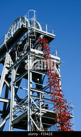 La fenêtre pleurant à Woodhorn par Paul Cummins, artiste, et Tom Piper, designer Banque D'Images