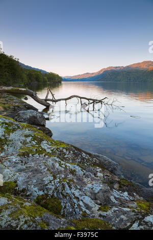 Le lever du soleil sur un calme le Loch Lomond. Banque D'Images