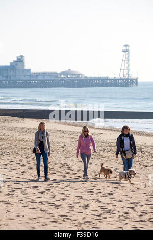 Bournemouth, Dorset, UK 2 octobre 2015. Météo France : belle journée ensoleillée à Bournemouth en tant que visiteurs, aller à la plage pour profiter du soleil d'automne - trois jeunes femmes marchant les chiens le long de la plage Crédit : Carolyn Jenkins/Alamy Live News Banque D'Images