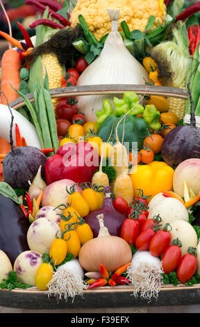 Des trug de légumes sont en démonstration lors d'un spectacle d'automne. ROYAUME-UNI Banque D'Images