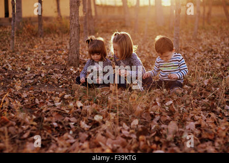 Trois enfants assis dans la forêt en jouant avec les feuilles d'automne Banque D'Images