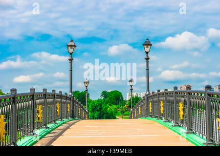 Pont dans le parc Tsaritsyno, Moscou, Russie, Europe Banque D'Images