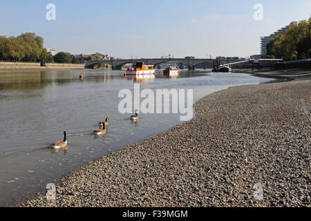 Putney, SW London, Royaume-Uni. 2 octobre, 2015. Une autre belle journée ensoleillée sur la Tamise à Putney Bridge, avec des températures qui atteignent une température de 18 degrés. Credit : Julia Gavin UK/Alamy Live News Banque D'Images