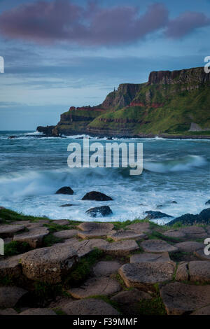 Au cours de la soirée des géants et les falaises du comté d'Antrim, Irlande du Nord, Royaume-Uni Banque D'Images
