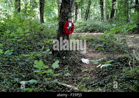 Mémorial à un soldat de la 36e régiment Gallois à Mametz Wood qui ont péri au cours de la bataille de la Somme en juillet 1916 Banque D'Images