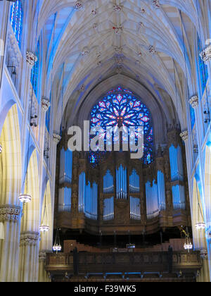L'intérieur, Cathédrale de St Patrick, Fifth Avenue, NYC Banque D'Images