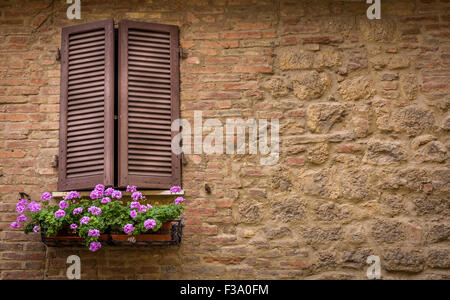 Volets marron et violet fleurs décoratives Banque D'Images