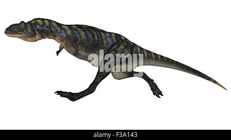 Dinosaure Aucasaurus isolé sur fond blanc. Banque D'Images