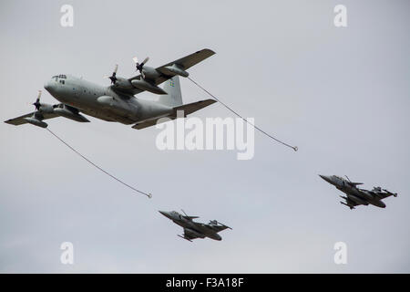 Une armée de l'air suédoise C-130E Hercules avec deux avions de la Force aérienne tchèque Gripens en remorque. Banque D'Images