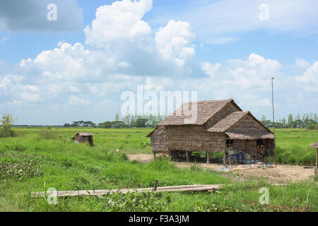 Ferme près de Pyin Ywa dans la région d'Ayeyarwady du Myanmar. Banque D'Images