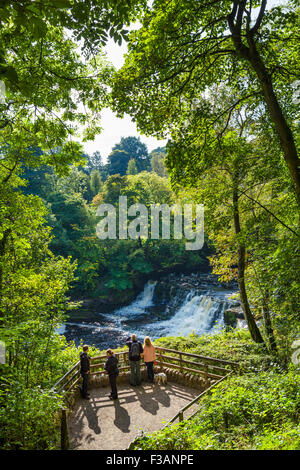 Plate-forme d'observation au milieu Aysgarth Falls, Yorkshire Dales, North Yorkshire, England, UK Banque D'Images