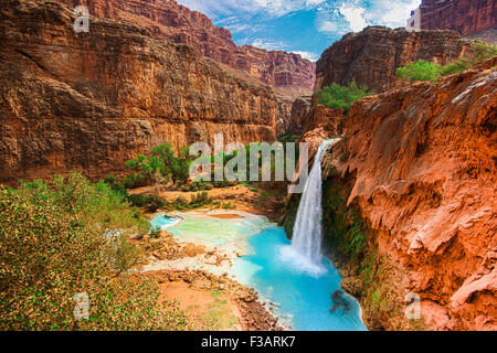 Réserve indienne Havasupai, Havasu fall, amazing waterfall dans le Grand Canyon, Arizona, USA. Banque D'Images